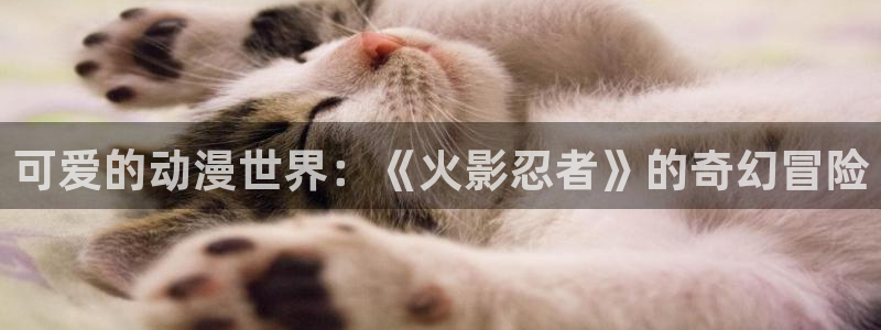 动漫查找