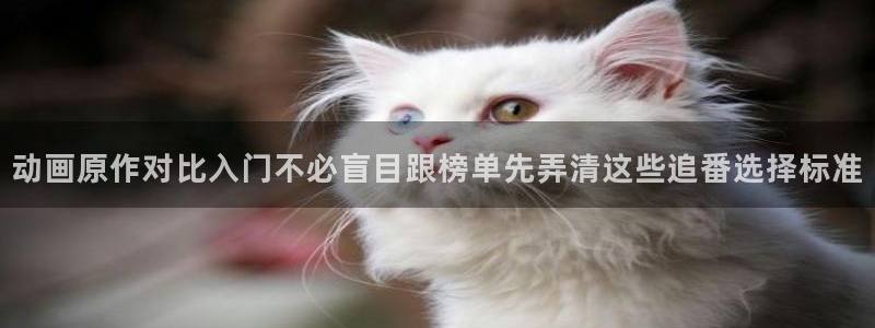 国漫推荐