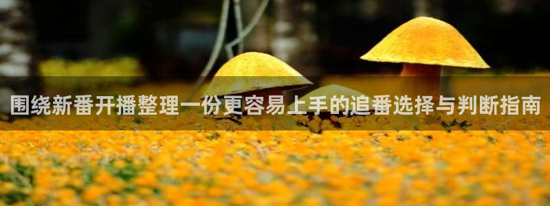 动漫更新列表