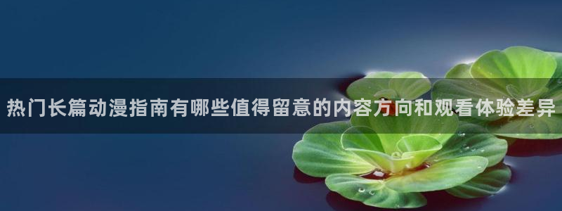 动漫在线观看网站