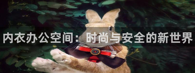 热门动漫网站
