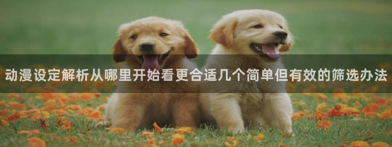 动漫网首页入口:动漫设定解析从哪里开始看更合适几个简单但有效的筛选办法