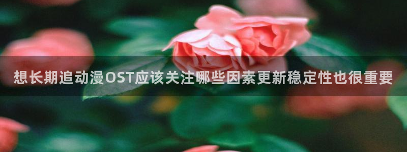 动漫网站入口：想长期追动漫OST应该关注哪些因素更新稳定性也很重要