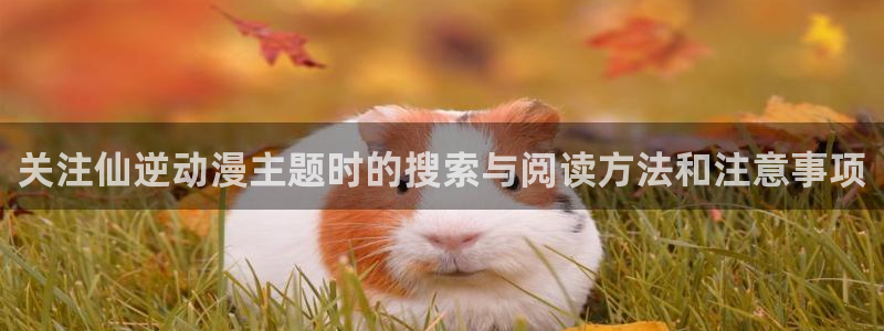 动漫在线：关注仙逆动漫主题时的搜索与阅读方法和注意事项