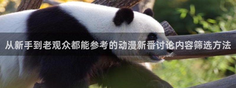 动漫资源导航：从新手到老观众都能参考的动漫新番讨论内容筛选方法