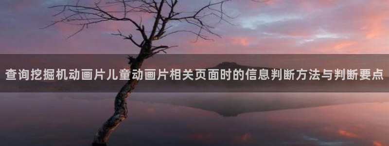校园动漫：查询挖掘机动画片儿童动画片相关页面时的信息判断方法与判断要点